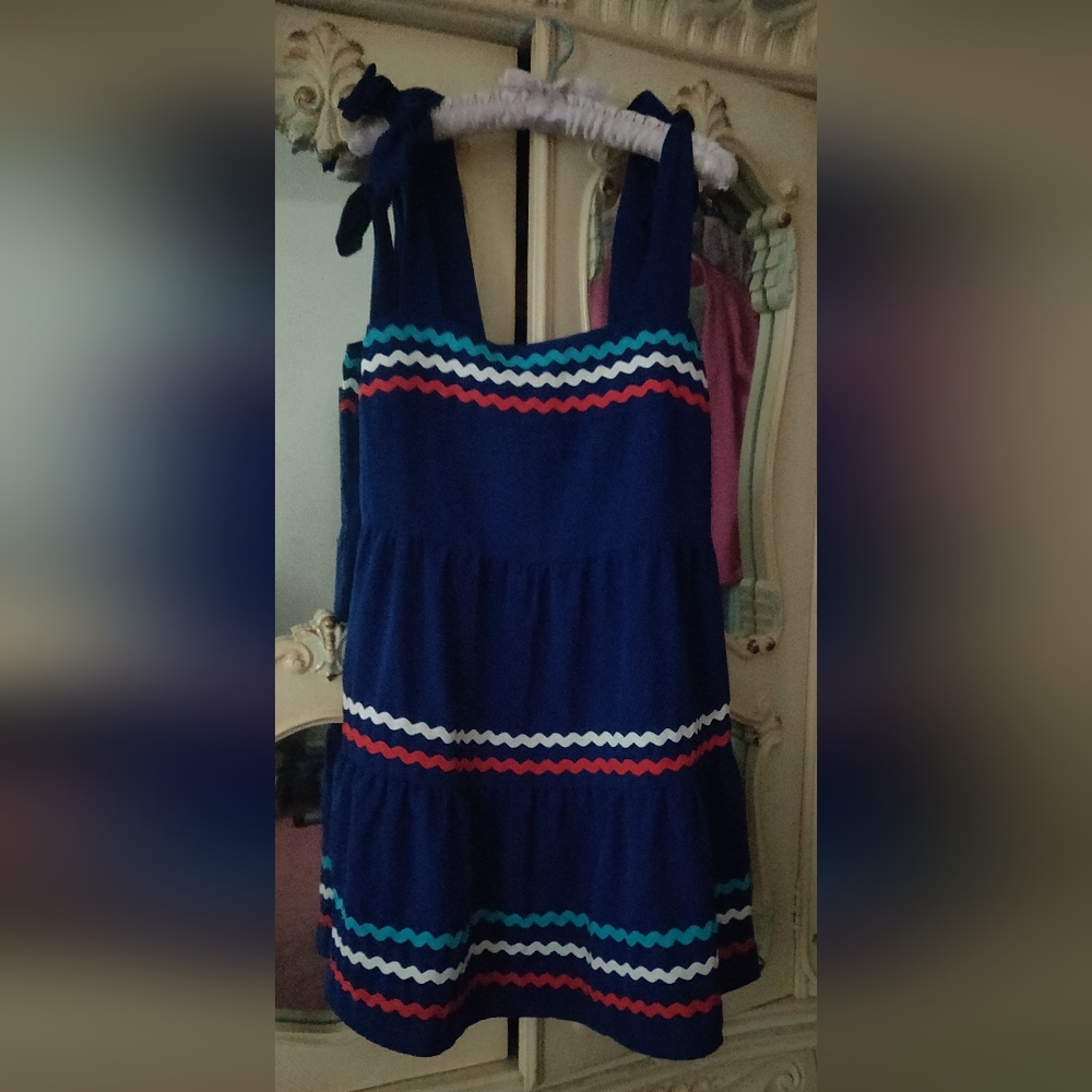 The Impeccable Pig Ric Rac Dress - M